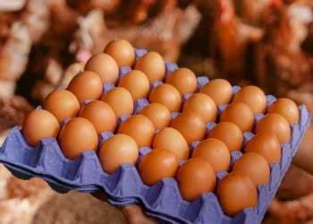 El truco definitivo para saber si un huevo está fresco sin abrirlo