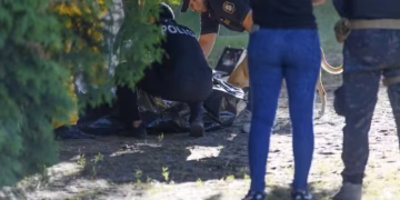 En la Provincia hubo menos causas penales, pero subieron los delitos contra las personas