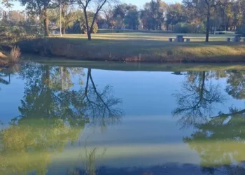 Alerta en General Villegas por la mortandad de peces en la laguna del Parque