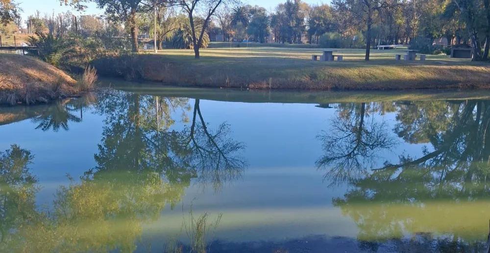Alerta en General Villegas por la mortandad de peces en la laguna del Parque