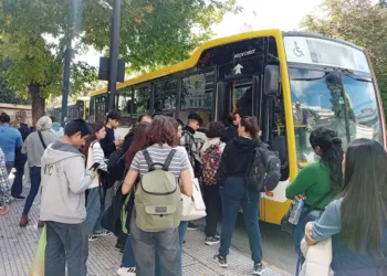 Aumenta el colectivo en líneas bonaerenses: todas las tarifas y por qué es importante registrar la SUBE