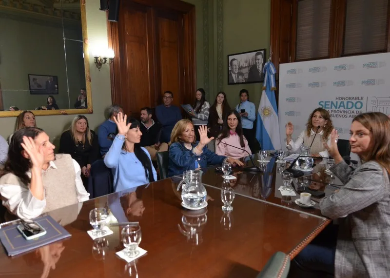 El Senado bonaerense constituyó la comisión de Igualdad Real de Trato y Oportunidades