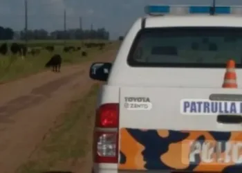Pergamino: tiroteo con un policía y un delincuente heridos, un patrullero robado y un prófugo