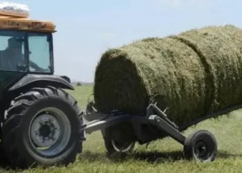 Miramar: murió decapitado al chocar contra un tractor que iba por la ruta con las luces tapadas