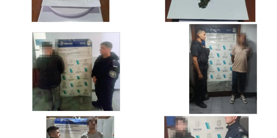 Vehículos recuperados y marihuana secuestrada