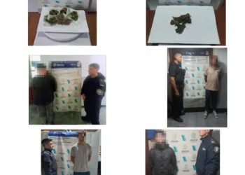 Vehículos recuperados y marihuana secuestrada