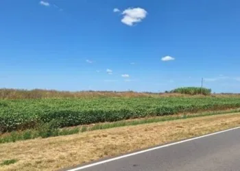 Ley de banquinas: cómo repercute  en Junín la iniciativa provincial