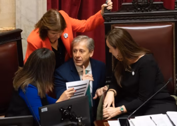Se aprobó el pliego de Verónica Michelli pese al veto del Gobierno