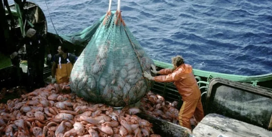 La pesca ilegal extrae hasta 3 millones de toneladas en aguas argentinas