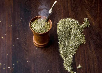 Argentina organiza el primer Mundial de la Yerba Mate