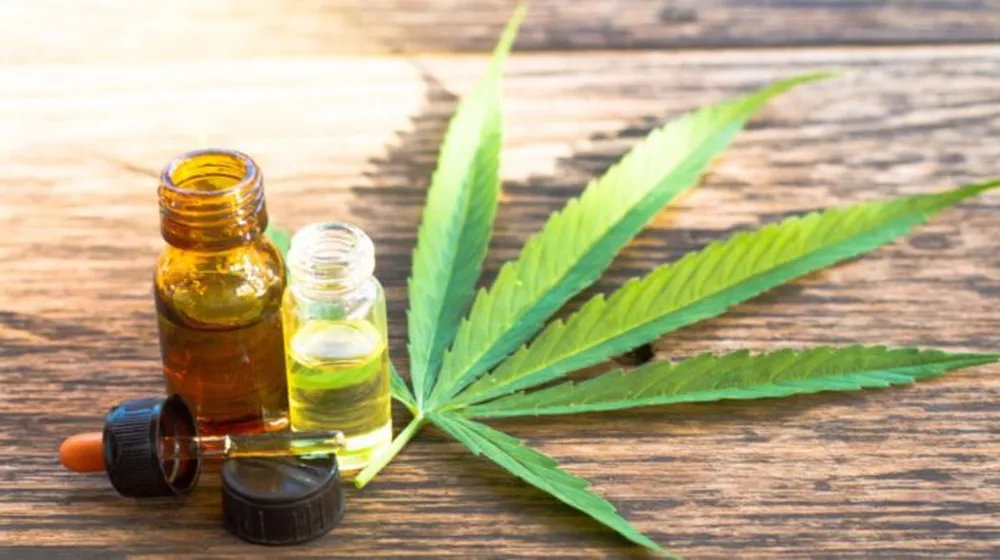 Provincia creó un ente para fortalecer las políticas de cannabis medicinal