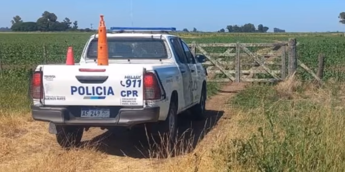 Millonaria pérdida de un productor juninense por desaparición de ganado en Lincoln
