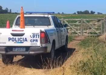 Millonaria pérdida de un productor juninense por desaparición de ganado en Lincoln