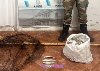 Se labraron 16 infracciones a cazadores furtivos en los últimos días