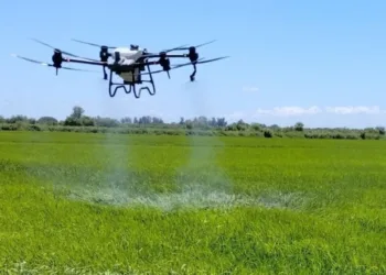 Piden que los aeroaplicadores  se capaciten permanentemente