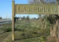 Pipinas: el pueblo turístico de Punta Indio rescatado por la solidaridad de los vecinos