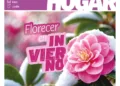 Revista HOGAR de junio