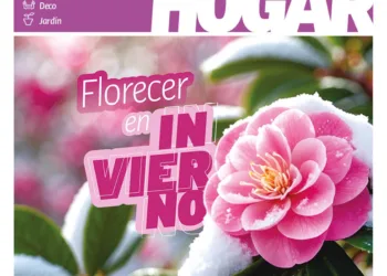 Revista HOGAR de junio