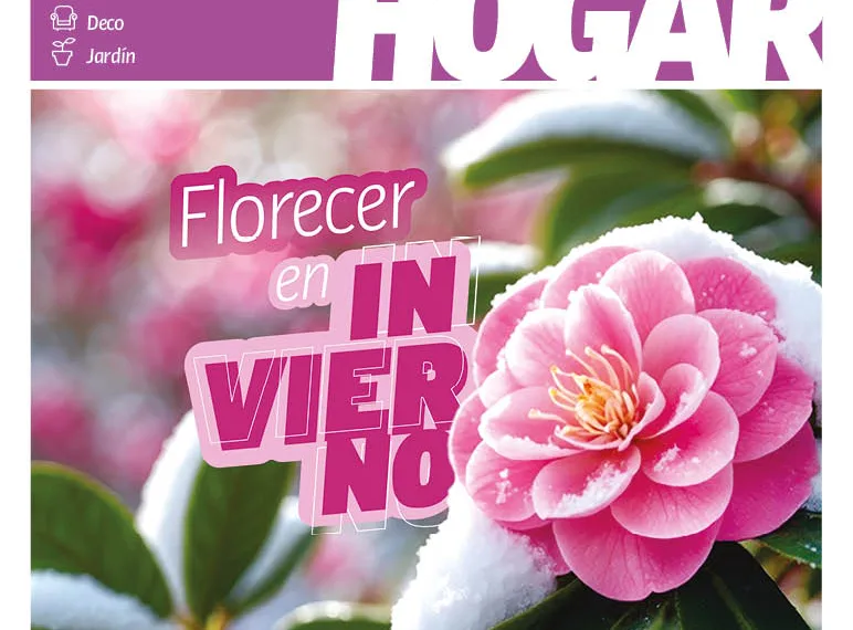 Revista HOGAR de junio