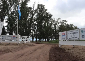 Jornada a campo del IPCVA en 9 de Julio: Genética y recría para maximizar carne y conversión