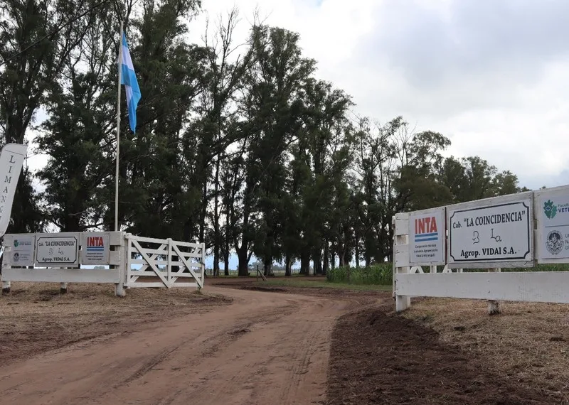 Jornada a campo del IPCVA en 9 de Julio: Genética y recría para maximizar carne y conversión
