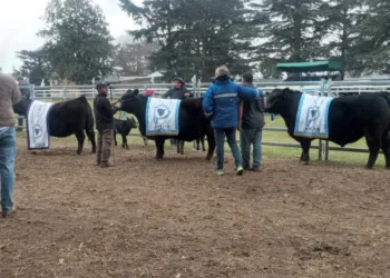 En agosto llega la 79º edición de la Expo Junín