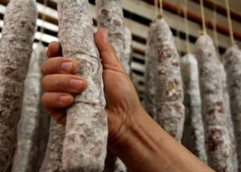 Triquinosis: no se registran casos confirmados ni sospechosos en Junín