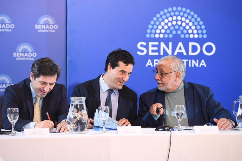 Reforma Electoral y Zonas Frías están frenadas en el Senado por falta de acuerdos políticos