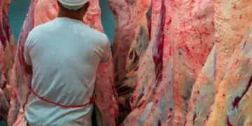 Diputados alertan por la importación de carne y su impacto en la cadena productiva