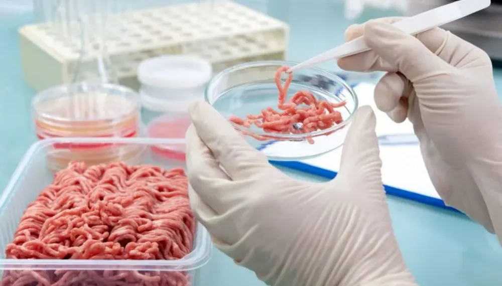 Triquinosis: se confirmaron 212 casos positivos en la provincia
