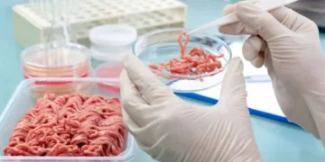 Triquinosis: se confirmaron 212 casos positivos en la provincia