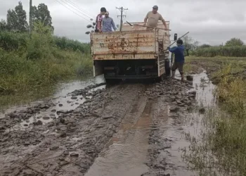 Productores de Tapalqué también piden a la Justicia anular el cobro de tasas municipales