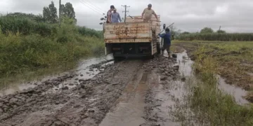 Productores de Tapalqué también piden a la Justicia anular el cobro de tasas municipales