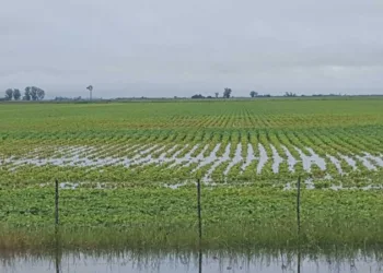 Provincia refuerza el plan de  prevención ante la llegada de El Niño