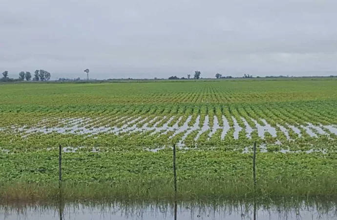 Provincia refuerza el plan de prevención ante la llegada de El Niño