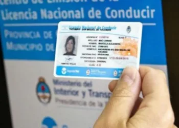 Licencias profesionales: el senador Petrecca impulsa cambios