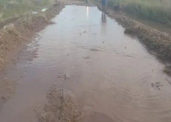 Productores agrarios proponen administrar los caminos rurales
