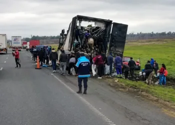Cientos de personas saquearon un camión con carne que se incendió en la Ruta 9