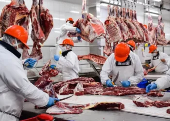 Instituto de la Carne: el campo rechaza el proyecto desregulador