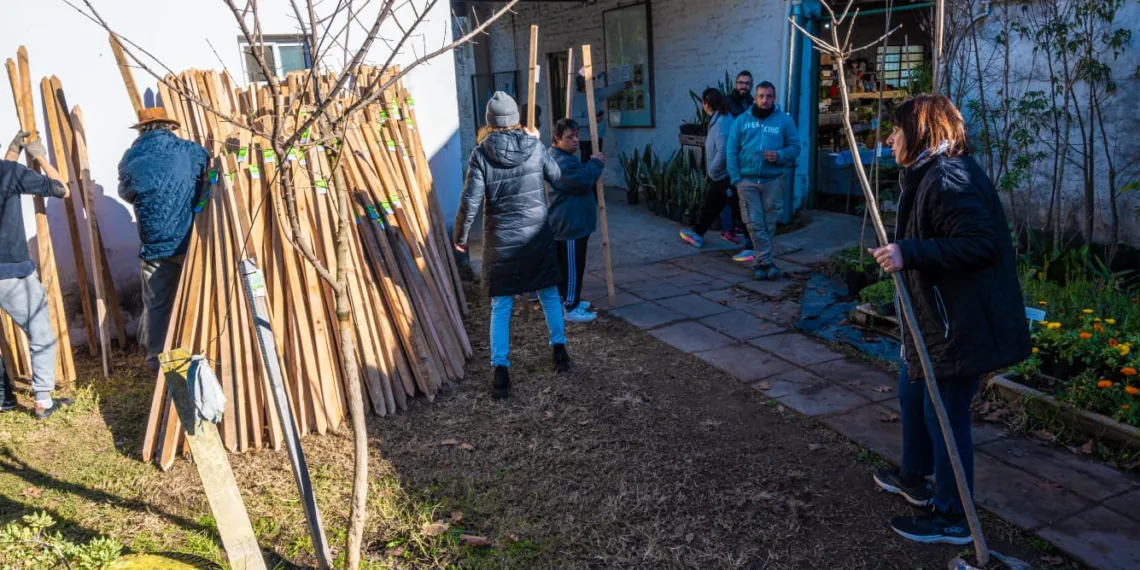 Avanza la reforestación en la ciudad