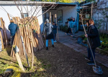 Avanza la reforestación en la ciudad
