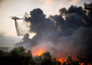 Incendio forestal deja casi dos decenas de fallecidos en el sur de España
