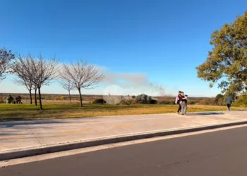 Incendios afectaron a las islas que están frente a San Nicolás