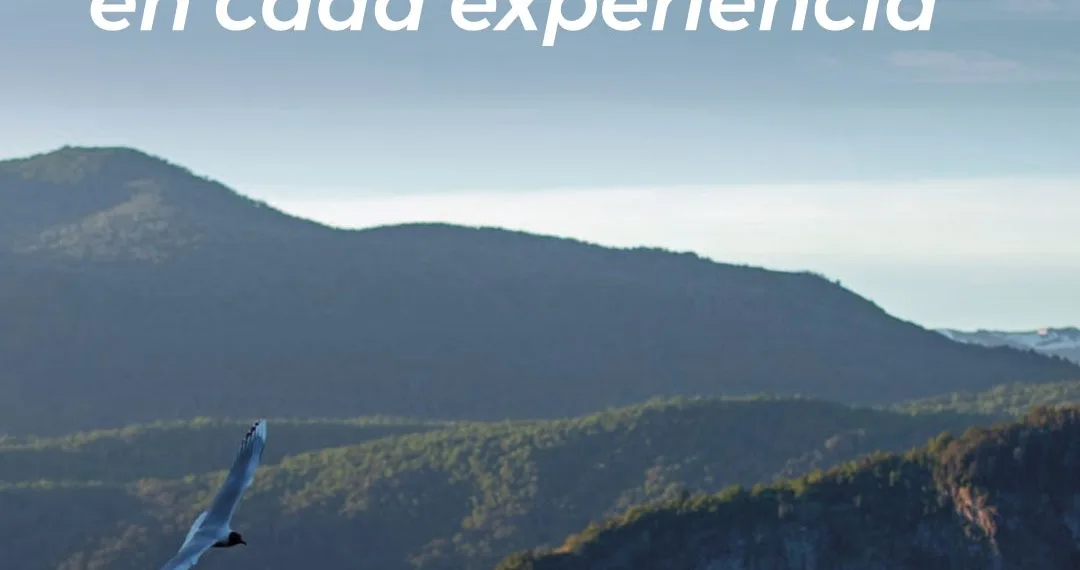 Campaña para impulsar el turismo durante la temporada de invierno
