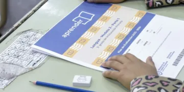 Pruebas Aprender 2025: mejoraron los resultados en Lengua y Matemática en la Provincia