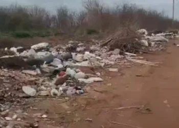 Vecinos reclaman por un basural a cielo abierto en el camino a Roca: “Es una vergüenza y un peligro”