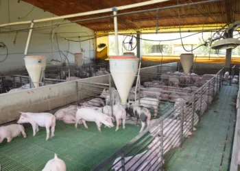 Actividad económica: qué municipios crecieron y cuáles son los rezagados