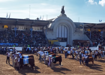 La Rural en números: se cerraron negocios por más de $25.000 millones y hubo más de un millón de visitantes