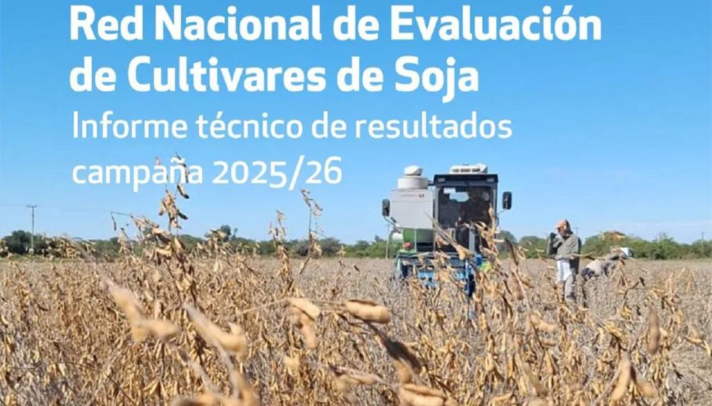Qué dijeron los ensayos de soja en Junín