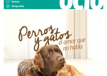 Domingo12 de julio de 2026
